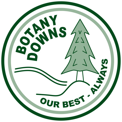 Botany Downs Primary School PTA